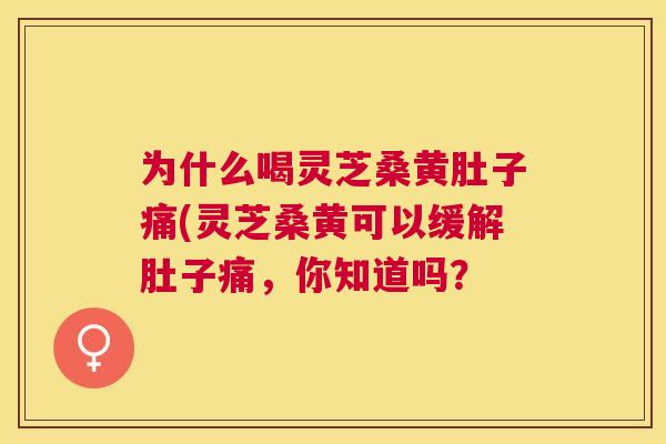 为什么喝灵芝桑黄肚子痛(灵芝桑黄可以缓解肚子痛,你知道吗? 为什么喝灵芝桑黄肚子痛(灵芝桑黄可以缓解肚子痛,你知道吗?
