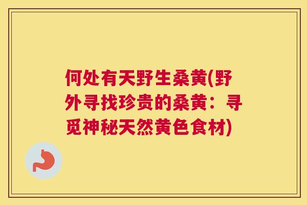 何处有天野生桑黄(野外寻找珍贵的桑黄:寻觅神秘天然黄色食材) 何处有天野生桑黄(野外寻找珍贵的桑黄:寻觅神秘天然黄色食材)