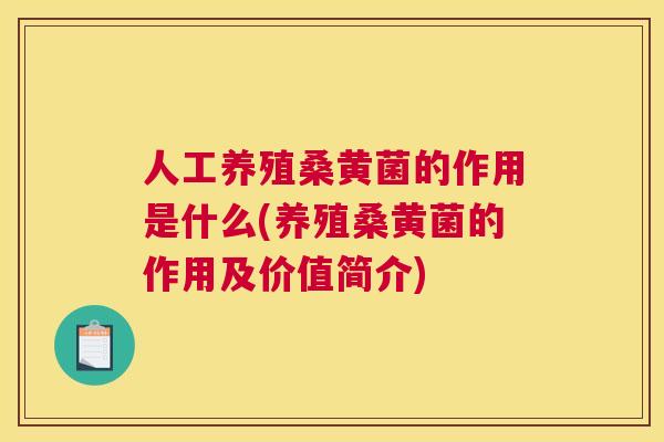 人工养殖桑黄菌的作用是什么(养殖桑黄菌的作用及价值简介) 人工养殖桑黄菌的作用是什么(养殖桑黄菌的作用及价值简介)