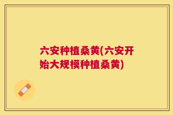 六安种植桑黄(六安开始大规模种植桑黄) 六安种植桑黄(六安开始大规模种植桑黄)