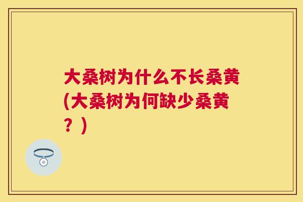 大桑树为什么不长桑黄(大桑树为何缺少桑黄?) 大桑树为什么不长桑黄(大桑树为何缺少桑黄?)