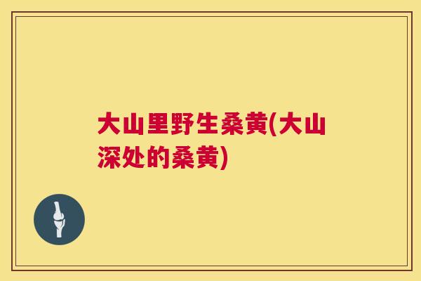 大山里野生桑黄(大山深处的桑黄) 大山里野生桑黄(大山深处的桑黄)
