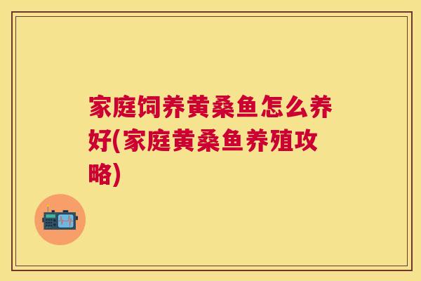 家庭饲养黄桑鱼怎么养好(家庭黄桑鱼养殖攻略) 家庭饲养黄桑鱼怎么养好(家庭黄桑鱼养殖攻略)