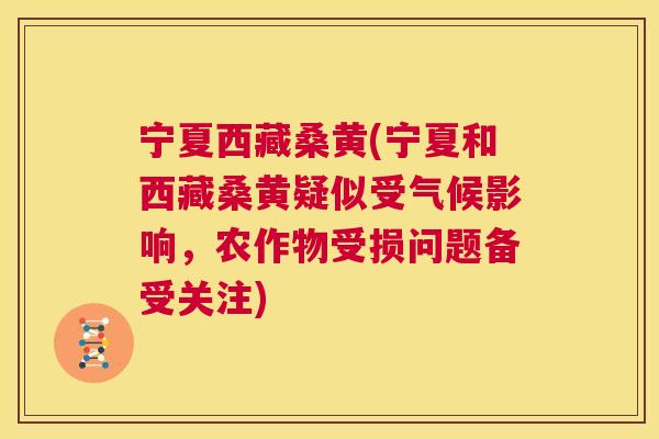 宁夏西藏桑黄(宁夏和西藏桑黄疑似受气候影响,农作物受损问题备受关注) 宁夏西藏桑黄(宁夏和西藏桑黄疑似受气候影响,农作物受损问题备受关注)