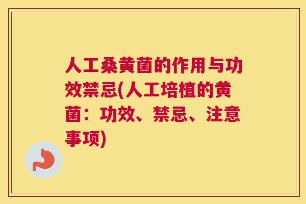 人工桑黄菌的作用与功效禁忌(人工培植的黄菌:功效、禁忌、注意事项) 人工桑黄菌的作用与功效禁忌(人工培植的黄菌:功效、禁忌、注意事项)