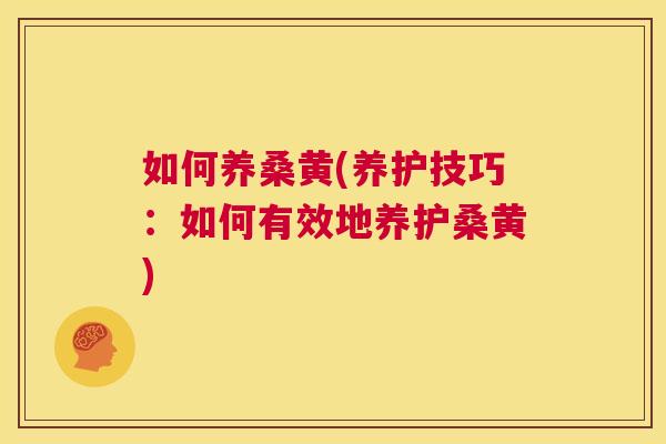 如何养桑黄(养护技巧:如何有效地养护桑黄) 如何养桑黄(养护技巧:如何有效地养护桑黄)