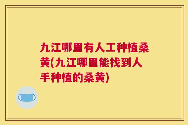 九江哪里有人工种植桑黄(九江哪里能找到人手种植的桑黄) 九江哪里有人工种植桑黄(九江哪里能找到人手种植的桑黄)