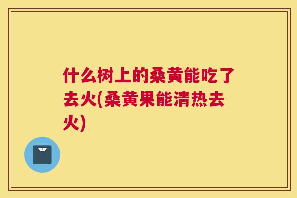 什么树上的桑黄能吃了去火(桑黄果能清热去火) 什么树上的桑黄能吃了去火(桑黄果能清热去火)