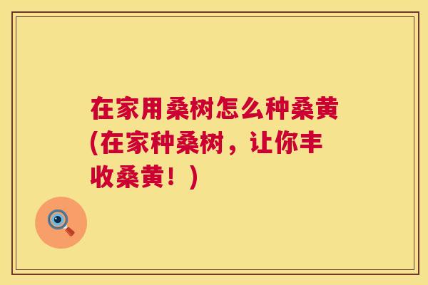 在家用桑树怎么种桑黄(在家种桑树,让你丰收桑黄!) 在家用桑树怎么种桑黄(在家种桑树,让你丰收桑黄!)