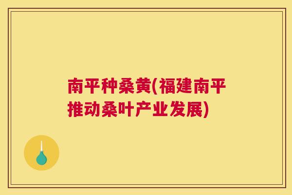 南平种桑黄(福建南平推动桑叶产业发展) 南平种桑黄(福建南平推动桑叶产业发展)