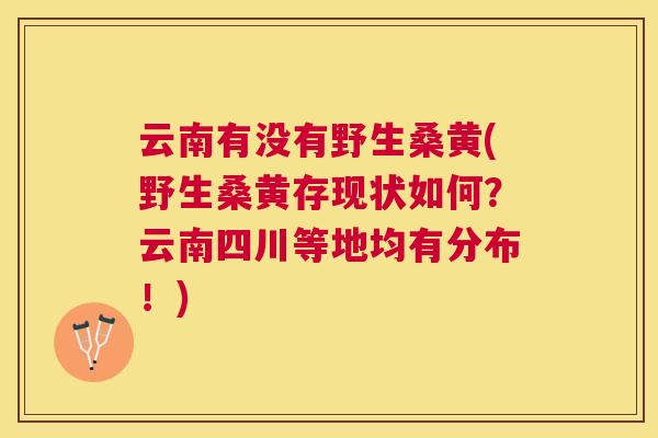 云南有没有野生桑黄(野生桑黄存现状如何?云南四川等地均有分布!) 云南有没有野生桑黄(野生桑黄存现状如何?云南四川等地均有分布!)