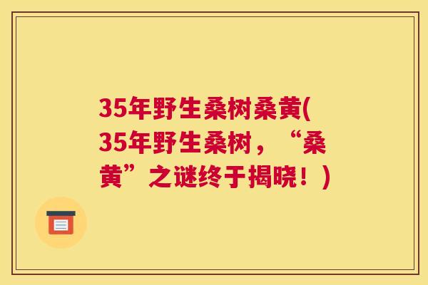 35年野生桑树桑黄(35年野生桑树,“桑黄”之谜终于揭晓!) 35年野生桑树桑黄(35年野生桑树,“桑黄”之谜终于揭晓!)