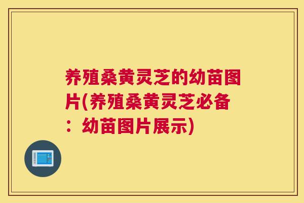 养殖桑黄灵芝的幼苗图片(养殖桑黄灵芝必备:幼苗图片展示) 养殖桑黄灵芝的幼苗图片(养殖桑黄灵芝必备:幼苗图片展示)