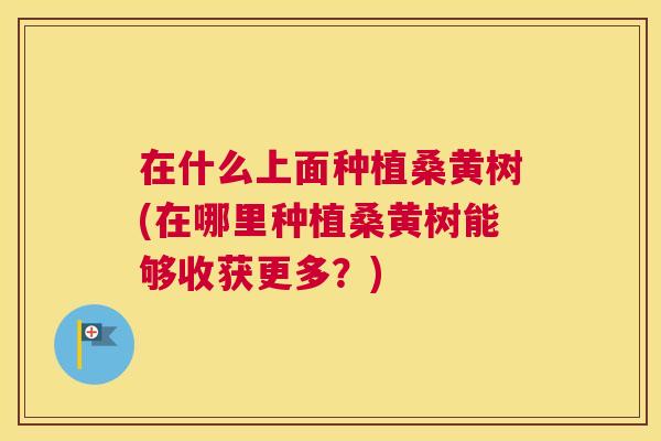 在什么上面种植桑黄树(在哪里种植桑黄树能够收获更多?) 在什么上面种植桑黄树(在哪里种植桑黄树能够收获更多?)