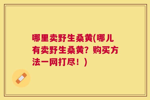 哪里卖野生桑黄(哪儿有卖野生桑黄?购买方法一网打尽!) 哪里卖野生桑黄(哪儿有卖野生桑黄?购买方法一网打尽!)