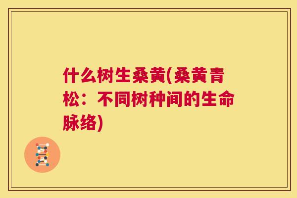 什么树生桑黄(桑黄青松:不同树种间的生命脉络) 什么树生桑黄(桑黄青松:不同树种间的生命脉络)