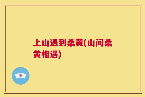 上山遇到桑黄(山间桑黄相遇) 上山遇到桑黄(山间桑黄相遇)