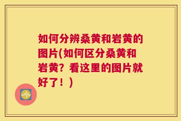 如何分辨桑黄和岩黄的图片(如何区分桑黄和岩黄?看这里的图片就好了!) 如何分辨桑黄和岩黄的图片(如何区分桑黄和岩黄?看这里的图片就好了!)