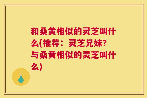 和桑黄相似的灵芝叫什么(推荐:灵芝兄妹?与桑黄相似的灵芝叫什么) 和桑黄相似的灵芝叫什么(推荐:灵芝兄妹?与桑黄相似的灵芝叫什么)