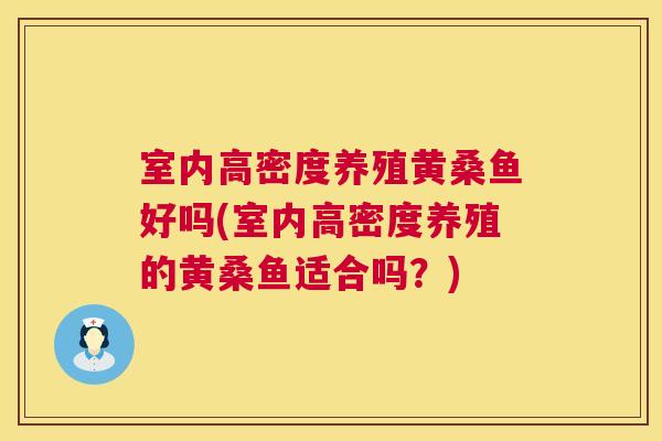 室内高密度养殖黄桑鱼好吗(室内高密度养殖的黄桑鱼适合吗?) 室内高密度养殖黄桑鱼好吗(室内高密度养殖的黄桑鱼适合吗?)