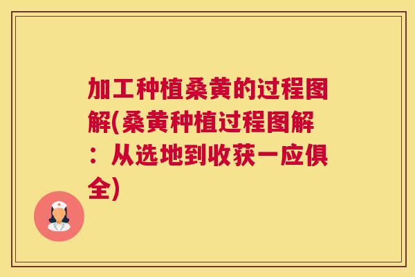 加工种植桑黄的过程图解(桑黄种植过程图解:从选地到收获一应俱全) 加工种植桑黄的过程图解(桑黄种植过程图解:从选地到收获一应俱全)