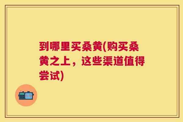 到哪里买桑黄(购买桑黄之上，这些渠道值得尝试)