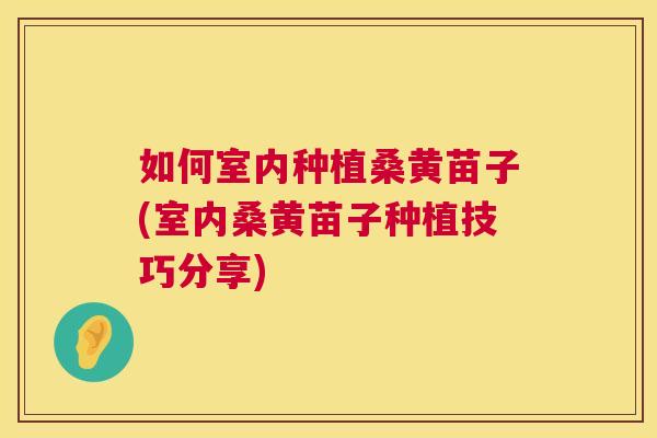 如何室内种植桑黄苗子(室内桑黄苗子种植技巧分享) 如何室内种植桑黄苗子(室内桑黄苗子种植技巧分享)