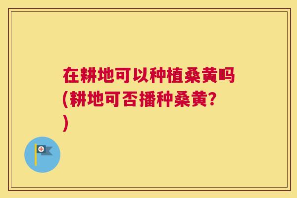 在耕地可以种植桑黄吗(耕地可否播种桑黄?) 在耕地可以种植桑黄吗(耕地可否播种桑黄?)