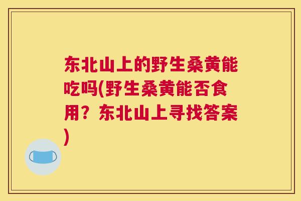 东北山上的野生桑黄能吃吗(野生桑黄能否食用?东北山上寻找答案) 东北山上的野生桑黄能吃吗(野生桑黄能否食用?东北山上寻找答案)