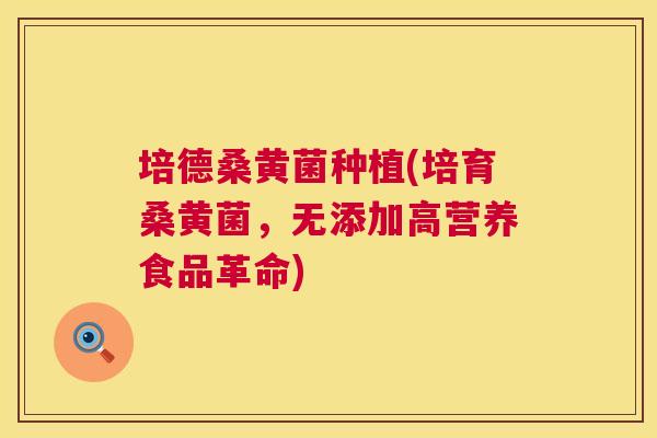 培德桑黄菌种植(培育桑黄菌,无添加高营养食品革命) 培德桑黄菌种植(培育桑黄菌,无添加高营养食品革命)