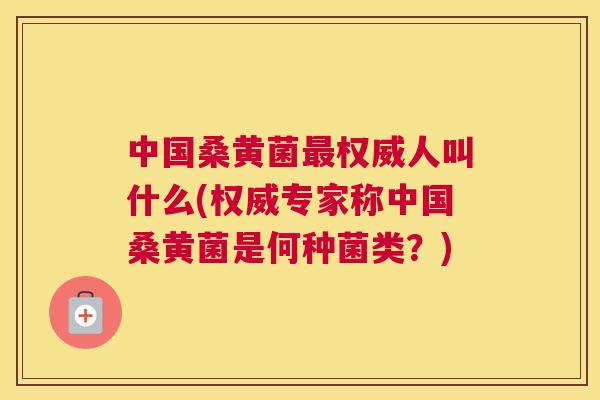 中国桑黄菌权威人叫什么(权威专家称中国桑黄菌是何种菌类?) 中国桑黄菌权威人叫什么(权威专家称中国桑黄菌是何种菌类?)