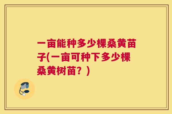 一亩能种多少棵桑黄苗子(一亩可种下多少棵桑黄树苗?) 一亩能种多少棵桑黄苗子(一亩可种下多少棵桑黄树苗?)