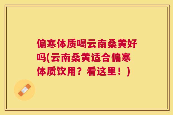 偏寒体质喝云南桑黄好吗(云南桑黄适合偏寒体质饮用？看这里！)
