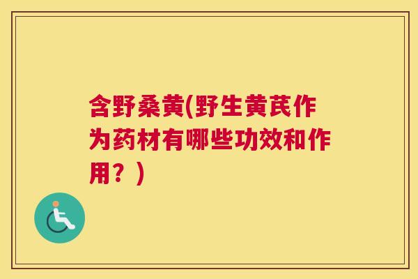 含野桑黄(野生黄芪作为药材有哪些功效和作用？)