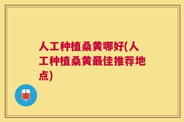 人工种植桑黄哪好(人工种植桑黄佳推荐地点) 人工种植桑黄哪好(人工种植桑黄佳推荐地点)