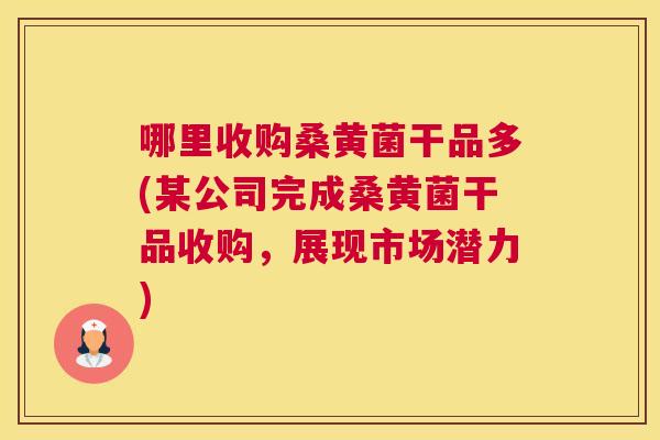 哪里收购桑黄菌干品多(某公司完成桑黄菌干品收购,展现市场潜力) 哪里收购桑黄菌干品多(某公司完成桑黄菌干品收购,展现市场潜力)