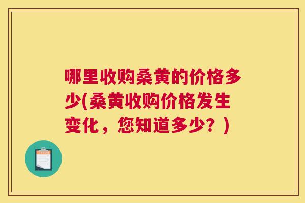 哪里收购桑黄的价格多少(桑黄收购价格发生变化,您知道多少?) 哪里收购桑黄的价格多少(桑黄收购价格发生变化,您知道多少?)