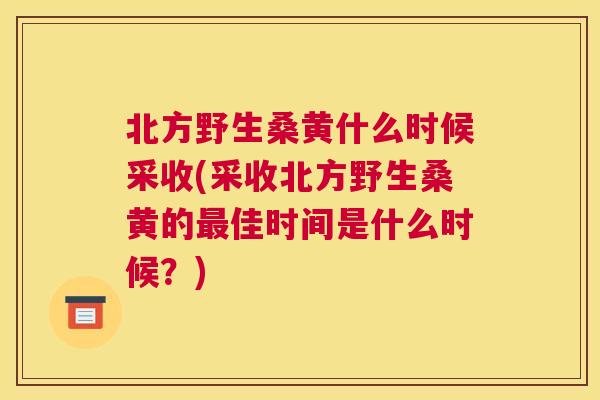 北方野生桑黄什么时候采收(采收北方野生桑黄的佳时间是什么时候?) 北方野生桑黄什么时候采收(采收北方野生桑黄的佳时间是什么时候?)
