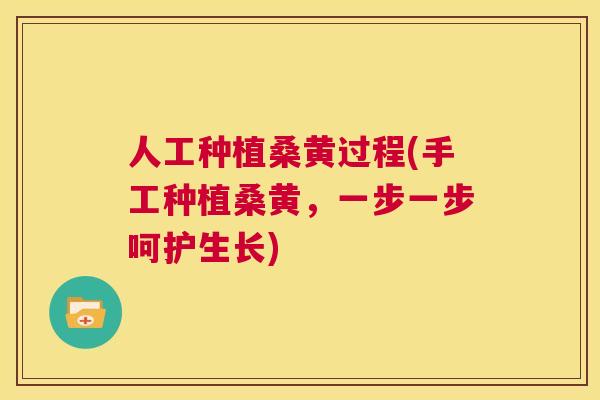 人工种植桑黄过程(手工种植桑黄,一步一步呵护生长) 人工种植桑黄过程(手工种植桑黄,一步一步呵护生长)