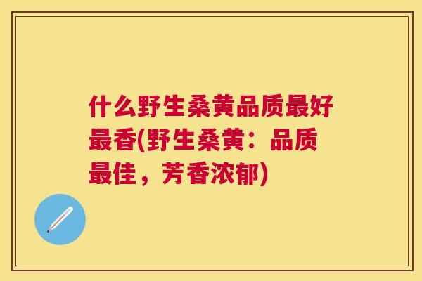 什么野生桑黄品质好香(野生桑黄：品质佳，芳香浓郁)