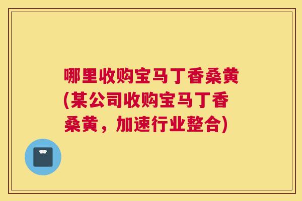 哪里收购宝马丁香桑黄(某公司收购宝马丁香桑黄,加速行业整合) 哪里收购宝马丁香桑黄(某公司收购宝马丁香桑黄,加速行业整合)