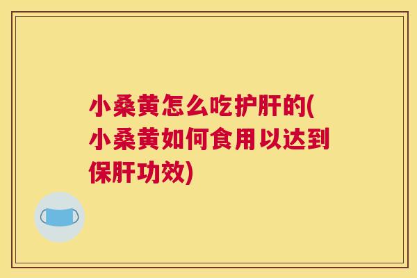 小桑黄怎么吃的(小桑黄如何食用以达到功效) 小桑黄怎么吃的(小桑黄如何食用以达到功效)