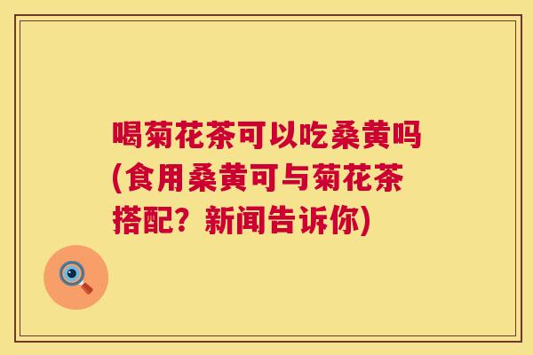 喝菊花茶可以吃桑黄吗(食用桑黄可与菊花茶搭配?新闻告诉你) 喝菊花茶可以吃桑黄吗(食用桑黄可与菊花茶搭配?新闻告诉你)