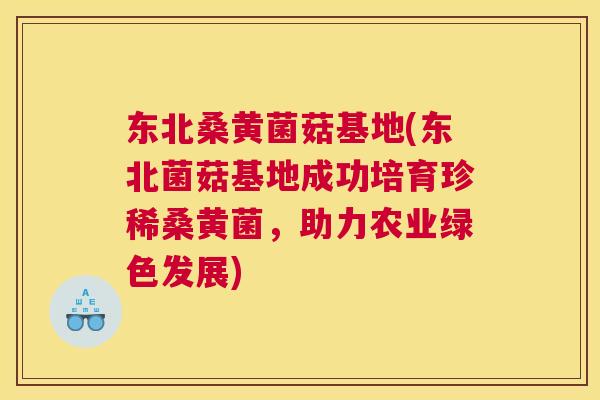 东北桑黄菌菇基地(东北菌菇基地成功培育珍稀桑黄菌,助力农业绿色发展) 东北桑黄菌菇基地(东北菌菇基地成功培育珍稀桑黄菌,助力农业绿色发展)