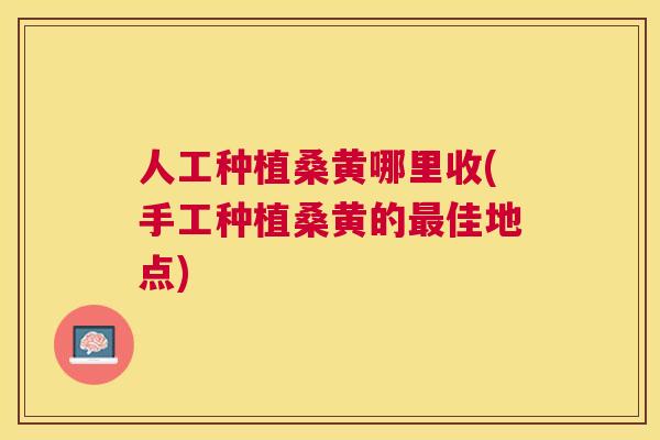 人工种植桑黄哪里收(手工种植桑黄的佳地点) 人工种植桑黄哪里收(手工种植桑黄的佳地点)