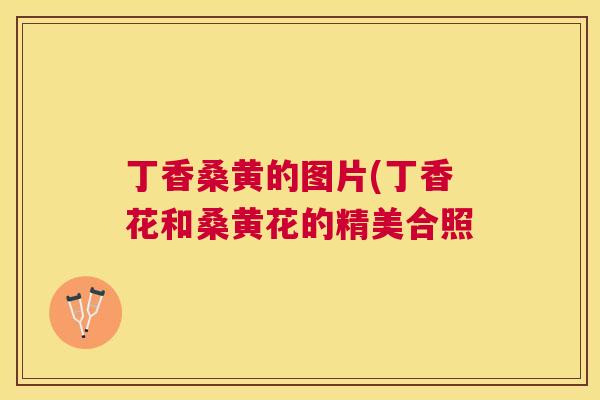 丁香桑黄的图片(丁香花和桑黄花的精美合照 丁香桑黄的图片(丁香花和桑黄花的精美合照