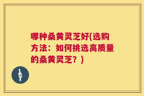 哪种桑黄灵芝好(选购方法:如何挑选高质量的桑黄灵芝?) 哪种桑黄灵芝好(选购方法:如何挑选高质量的桑黄灵芝?)