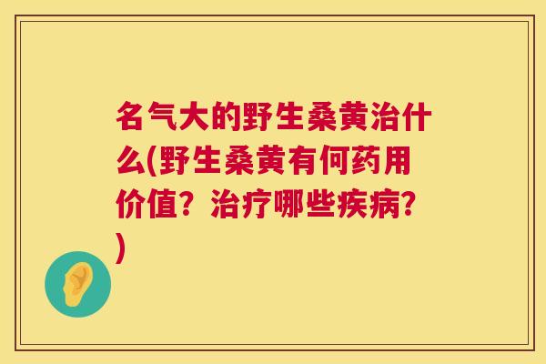 名气大的野生桑黄什么(野生桑黄有何药用价值？哪些？)