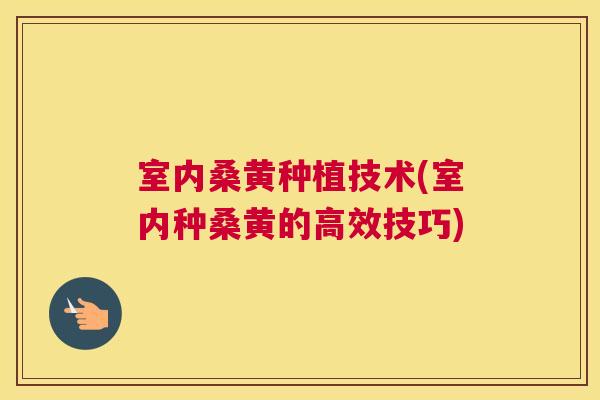 室内桑黄种植技术(室内种桑黄的高效技巧) 室内桑黄种植技术(室内种桑黄的高效技巧)