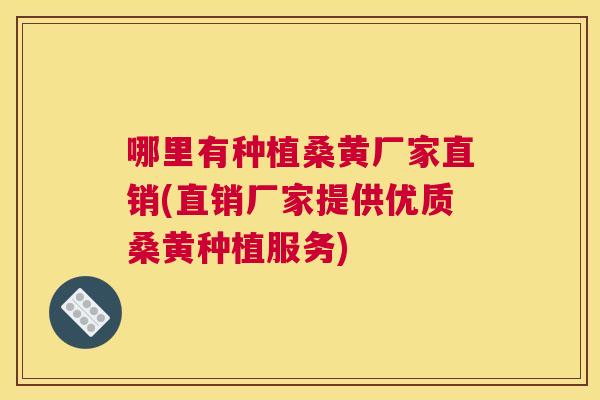 哪里有种植桑黄厂家直销(直销厂家提供优质桑黄种植服务) 哪里有种植桑黄厂家直销(直销厂家提供优质桑黄种植服务)